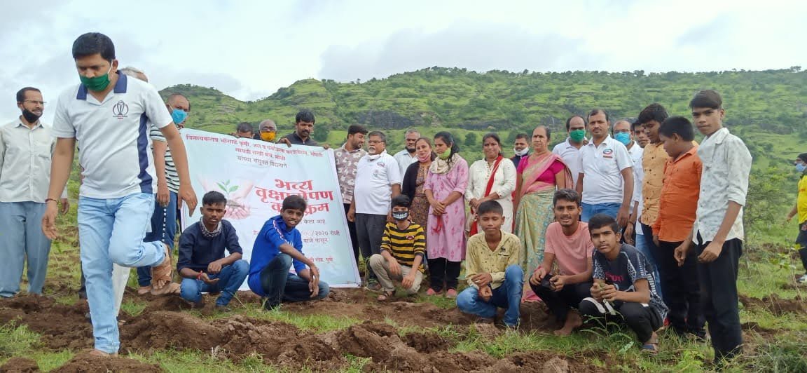Plantation Work